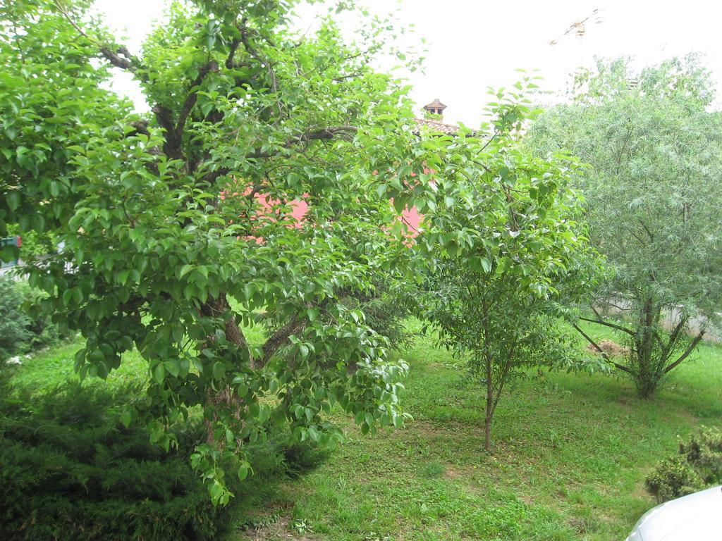 Casa Bruno B&B Mondovi Extérieur photo
